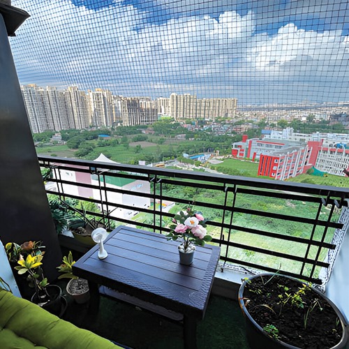 Pigeon Nets – Bengaluru